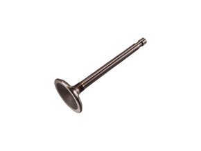 Válvula De Admissão Trw Varga Va1320a