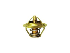 Válvula Termostática Mte-thomson Vt 271.89