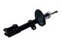 Amortecedor Captur 17> E Duster 11> Allen 25357 - Dianteiro  Direito/esquerdo