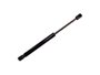 Amortecedor De Porta-malas Citroen C4 Pallas 06> Allen 25579