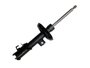 Amortecedor Dianteiro Tracker 1.0,1.2 12v Turbo 3c 20>  Allen 75110 - Lado Esquerdo