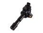 Bobina De Ignição Honda Fit E City 09/14 Magneti Marelli  Bi0075mm