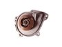 Bomba D'água Bmw 114i, 116i, 118i, 120i, 316i, Touring,  Citroen C3 Picasso, C4, Ds3, Ds4, Ds5, Peugeot 208, 2008,  308, 408, 508, 3008 E Rcz Indisa 952506 