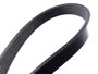 Correia Elástica Poly V Dayco Dp5pk0870ee