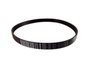 Correia Elástica Poly V Original Gm 24579489