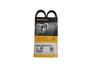 Correia Poly V 206 1.0 16v 01>, Clio 1.0 8v/16v 00>, Kangoo 1.0 8v/16v 99>, Logan 1.0 16v 07>, Sandero 1.0 16v 08> Continental 3pk0738