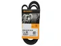 Correia Poly V Classe A 160/190,scenic, Megane, Logan, Sandero, Clio, Kangoo, Laguna Continental 5pk1750