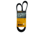 Correia Poly V Continental 5pk1175