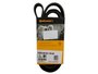 Correia Poly V Continental 6pk1705