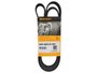 Correia Poly V Corsa 1.0/1.6 16v 96> Continental 6pk1580
