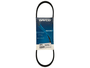 Correia Poly V Dayco 3pk0700