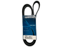 Correia Poly V Dayco 5pk1795