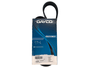 Correia Poly V Dayco 6pk0895 