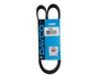 Correia Poly V Dayco 6pk1065
