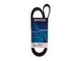 Correia Poly V Dayco 6pk1675