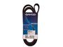 Correia Poly V Dayco 6pk2050