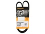 CORREIA POLY V DOBLO 1.3 16V 03>, FIORINO 1.3 8V 02>, IDEA 1.4 8V 05>,PALIO,SIENA E STRADA 1.0,1.3,1.4 8V/16V 01> CONTINENTAL 3PK0905
