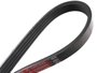 Correia Poly V Gates 4pk0803