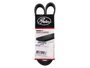 Correia Poly V GATES 6PK0975