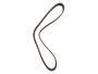 Correia Poly V GATES 6PK0975