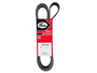 Correia Poly V Gates 6pk1945