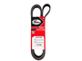 Correia Poly V Gates K030358 6pk1822