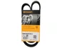 CORREIA POLY V GOL 8V/16V, KOMBI 1.4 06>, PARATI 1.0 
8V/16V, POLO 1.0 16V 02>  CONTINENTAL 6PK0870
