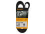 Correia Poly V Grand Siena 12> Bravo, Doblo,idea,linea, Palio, Punto, Siena , Strada 11> Daily 01> Continental 6pk1365