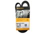 Correia Poly V Onix E Onix Plus 12v Turbo 20> Tracker  1.0/1.2 12v Turbo Continetal 5pk1230