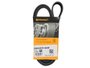 Correia Poly V Pajero 3.0 V6 94/02, Pajero Io 1.8 16v 99>, Pajero Tr4 2.0 16v 02> Continental 5pk1345