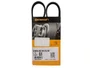 CORREIA POLY V TUCSON E SPORTAGE 2.0 16V 04>, BRAVA 1.6 16V 99/02, MAREA 1.6 16V 06>, PALIO, SIENA E STRADA 1.6 16V 96> CONTINENTAL 3PK0675