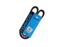 Correia V Dayco 10a0910c