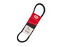 Correia V Gates 7295 Gs