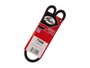 Correia V Gates 7356 Gs