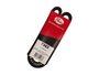 Correia V Gates 7362 Gs