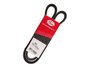 Correia V Gates 7441 Gs