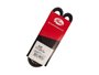 Correia V Gates 8343 Gs
