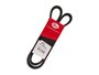 Correia V Gates 8478 Gs