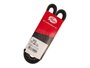Correia V Gates 9378 Gs