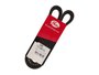 Correia V Gates 9386 Gs