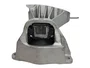 Coxim Do Motor Duster 2.0 16v 11>  E Oroch 2.0 16v 15> Delthy 509020