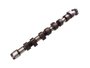 Eixo Comando De Válvulas Fox E Gol 1.0 8v 02/06 Kombi 1.4 8v 06/09 Crossman Dgcv04005