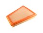 Filtro De Ar Bmw 528i, 125i, X1 E Z4 Wega Fap9285 