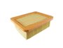 Filtro De Ar Towner 93/99 Tecfil Arl-1116