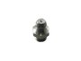 Graxeira 8mm