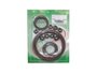 Jogo De Retentores Do Motor Monza 82/86 Bastos 1320029