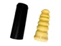 Kit Batente E Coifa Chery Tiggo 5x 1.5 16v 19>, Tiggo 7 1.5/1.6 16v 19> Recrin 6323-0