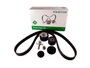 Kit Correia Sincronizadora Nissan March, Livina, Tiida E  Versa E Renault Duster, Fluence, Logan, Kangoo, Megane,  Oroch, Sandero, Scenic E Symbol Ina 5300737100
