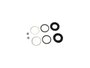 Kit De Reparos Da Pinça De Freio Omega 93/98 Controil C-1539