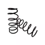 Par Mola De Suspensao Dianteira Kangoo 1.6 16v 06/14 Allen 77020